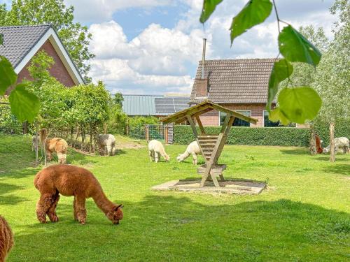 Vorstenbosch House | Alpacafarm Vorstenbosch