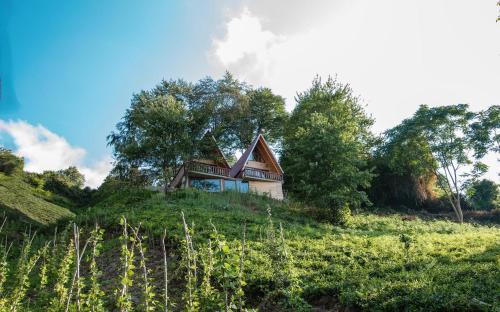 Kocasinan Ski Chalet | Alpha Bungalov