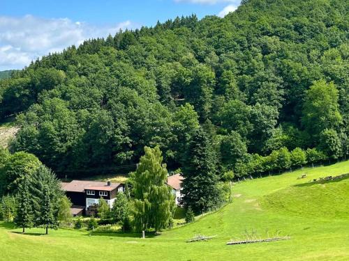 Lennestadt Apartment | Am Damwildgehege I