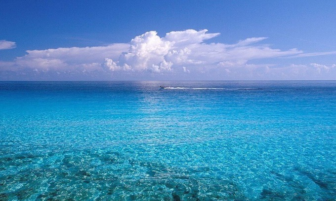 Isla Mujeres Condo | ~Amazing Casa Bendicion Condo on Beach, Sleeps 8, Huge Pool with Hot Tub~