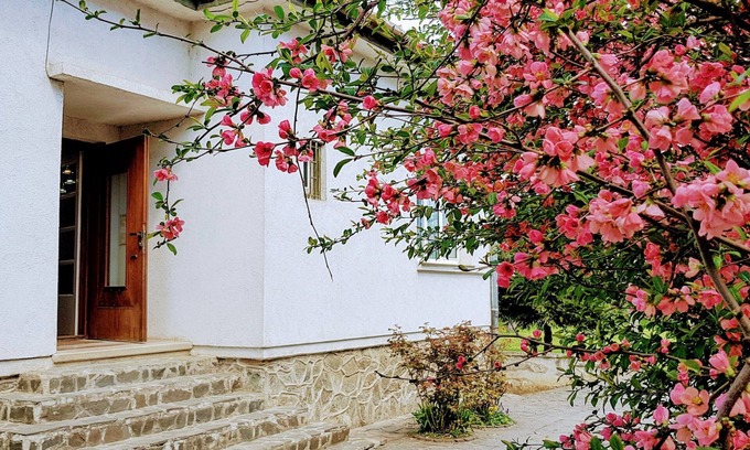 Three Oaks House | Amazing house with beautiful garden, 5 bedrooms, terrace, in the City Centre