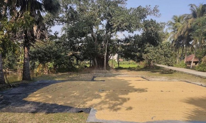 Diamond Harbour House | Amullya Kanan Villa, Sundarban