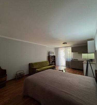 Tsinandali Apartment | AN Guest house