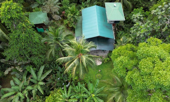 Dos Brazos Cabin | An immersive experience in the Osa rainforest