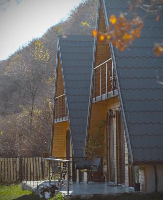 Ananuri House | Ananuri twins