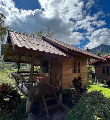 Chom Thong House | Angha forest view บ้านกลางนา