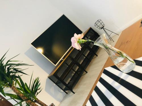 Legnica Apartment | Apartament Akademia