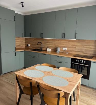 Zory Apartment | Apartament Carmen