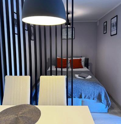 Boguszow-Gorce Apartment | Apartament Dzikowiec