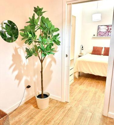Santa Cruz de Tenerife Apartment | Apartamento en el corazón de Santa Cruz