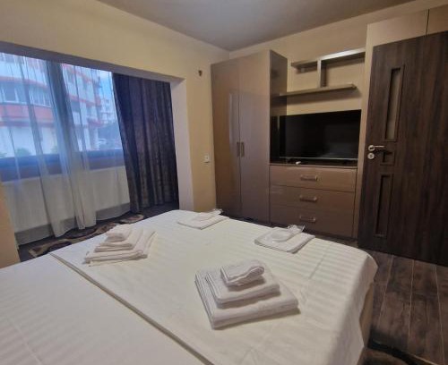 Curtea De Arges Apartment | Apartament Iulius 3 Manastire