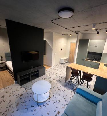 Chorzow Apartment | Apartament LOFT M84