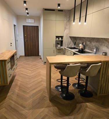 Srodmiescie Apartment | Apartament Lublin Wieniawska