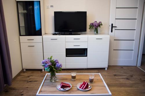 Siedlce Apartment | Apartament Malczewskiego