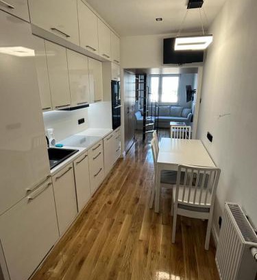 Turek Apartment | Apartament Milewskiego