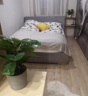 Piecki-Migowo Apartment | Apartament Morena