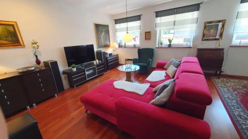 Dziaki Lesne Apartment | Apartament Podolska
