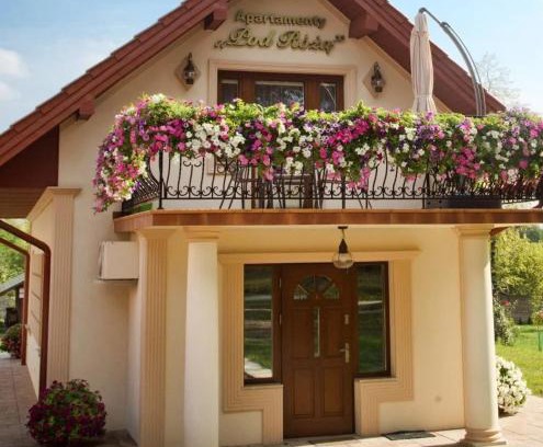 Solec-Zdroj Apartment | Apartament Róża