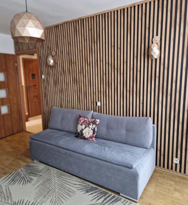 Duszniki Zdroj Apartment | Apartament słoneczny