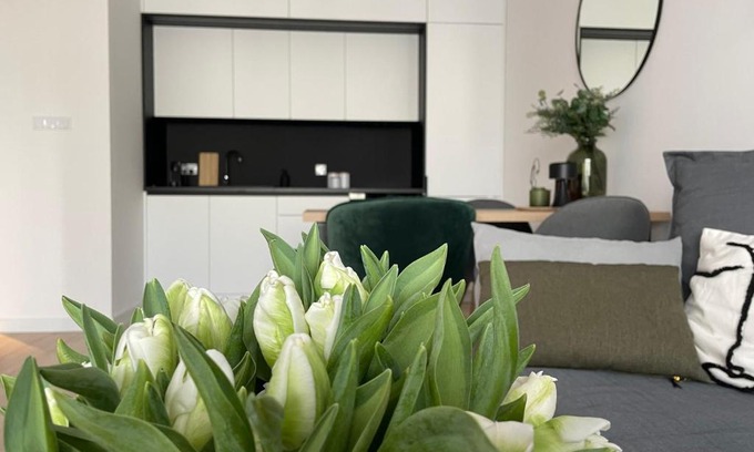 Dziwnow Apartment | Apartament & Spa Dziwnów