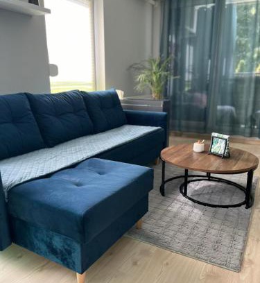 Srodmiescie Apartment | Apartament u Buni
