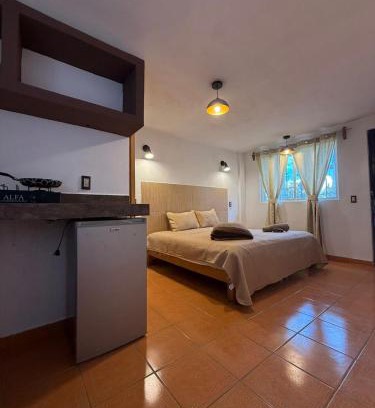 Toluca Apartment | Apartamento 12