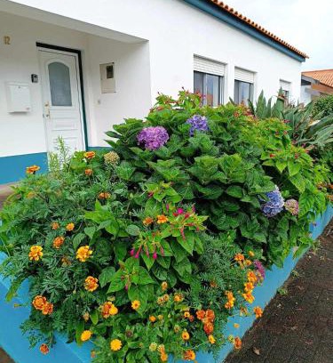 Santa Cruz das Flores Apartment | Apartamento da Matilde