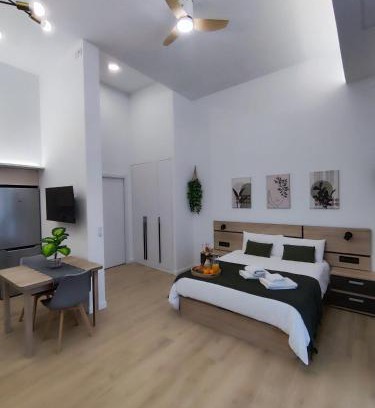 Algiros Apartment | Apartamento Río Turia Pingüino