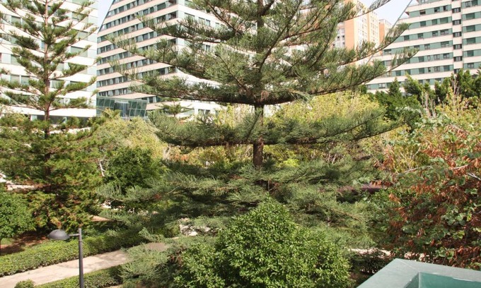 Ciutat de les Arts i les Ciencies Apartment | Apartamentos Las Ciencias D