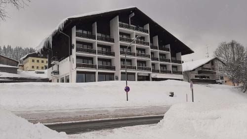 Mitterfirmiansreut Apartment | Apartmán Almberg - Mitterdorf - Mitterfirmiansrout
