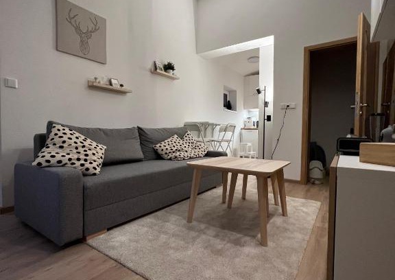 Horni Lipova Apartment | Apartmán U Potoka