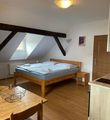 Karlovy Dvory Apartment | Apartmán V PODKROVÍ