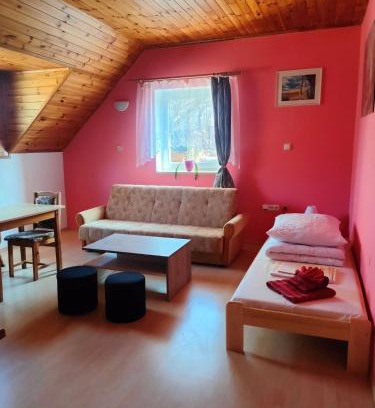 Bor u Skutce Apartment | Apartmán v Záchranné stanici Pasíčka
