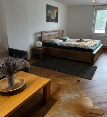 Dolni Ujezd Apartment | Apartmány MonTexas