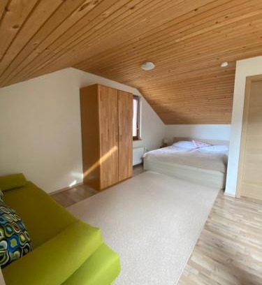 Slovenj Gradec Apartment | Apartma Regina