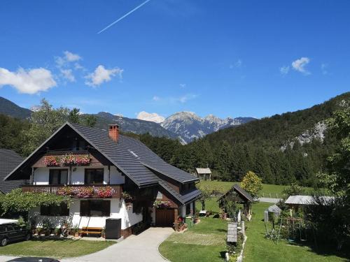 Ribcev Laz Apartment | Apartmaji Preželj