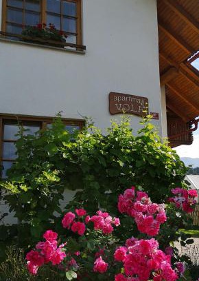 Gorje Apartment | Apartmaji Volf