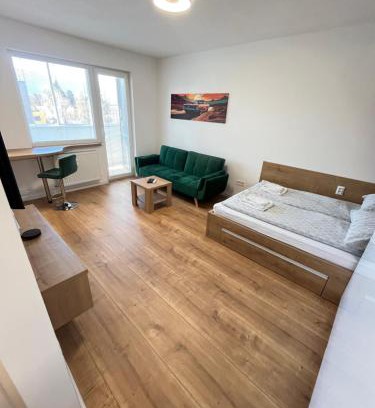 Martin Apartment | Apartman CITY STAY v centre Martina FREE parking