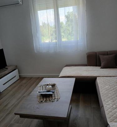 Radanovici Apartment | Apartman Djukic