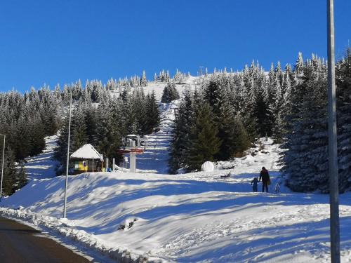 Kopaonik Apartment | Apartman Kalina Suncani Breg