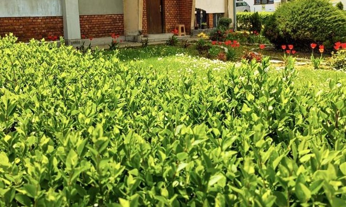 Mladenovac Apartment | Apartman Mali Raj Rudnik II