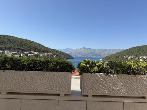 Pucisca Apartment | Apartman Ružica