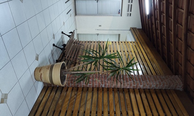 Zona Leste Apartment | Apartment 3 bedrooms Santo André