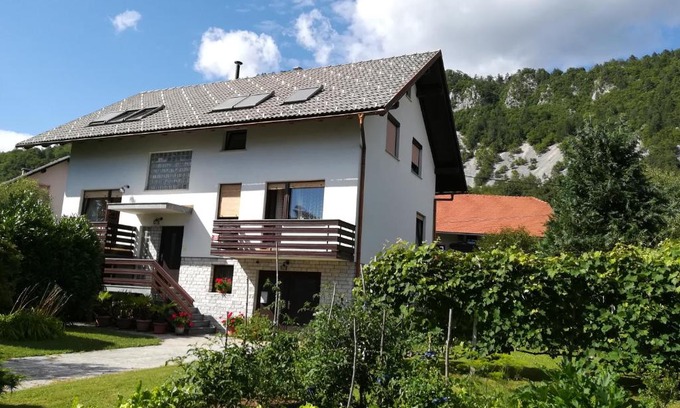 Zirovnica Apartment | Apartment Ajdna