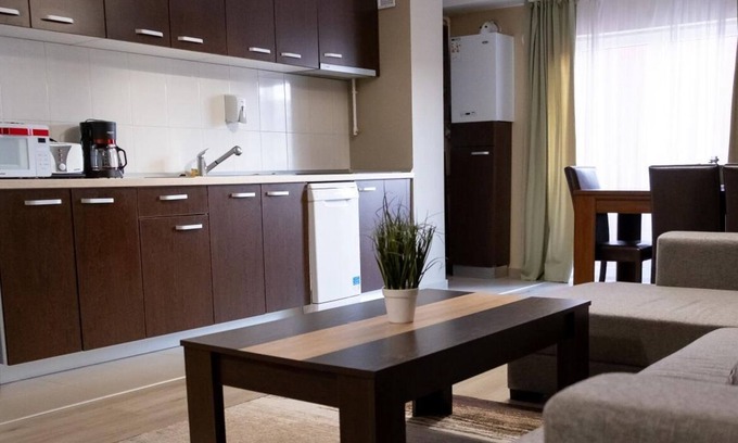 Baia Mare Apartment | Apartment Family Rivulus