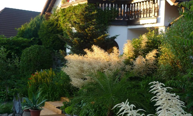 Eibenstock Apartment | Apartment for families with children, with internet access and only 800 m from the ski lift
