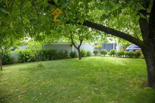 Blagaj Apartment | Apartment Garden