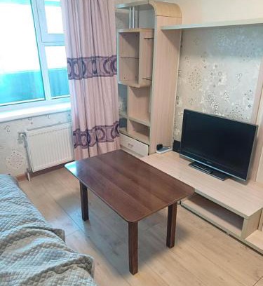 Downtown Ulaanbaatar Apartment | Apartment in Ulaanbaatar, Next to Narantuul Market, ,Mongolia