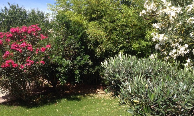 Fabregues Apartment | Apartment in very quiet villa in the heart of the village