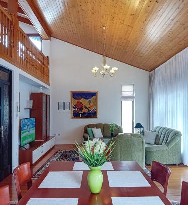 Mali Radic Apartment | Apartment Ines